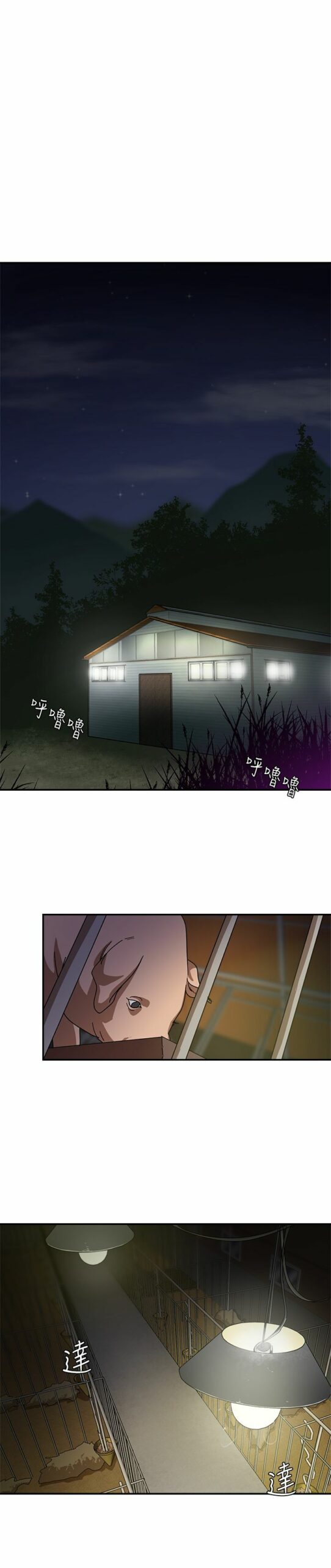 养成计划1 1 scaled