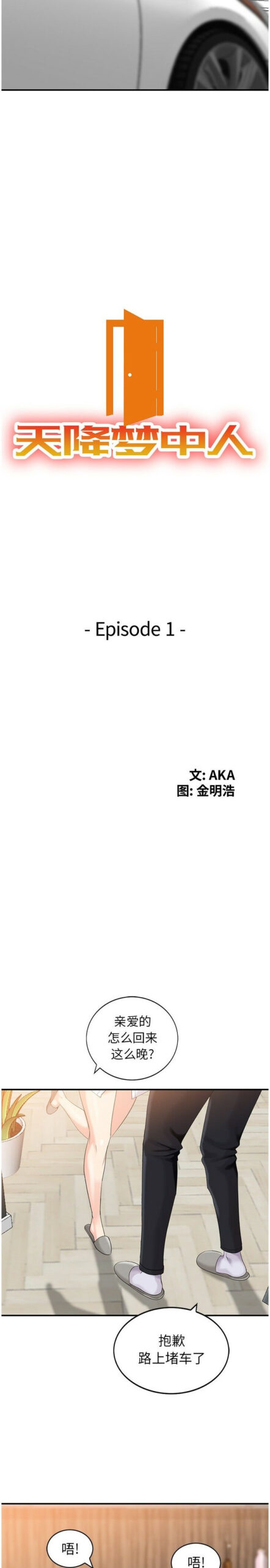 天降梦中人1 scaled