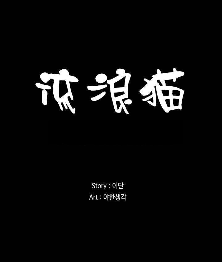 流浪猫 - 40话 完结 2 流浪猫1 0